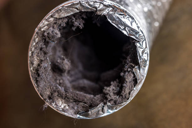 Best Local Air Duct Cleaning Services  in Winters, CA